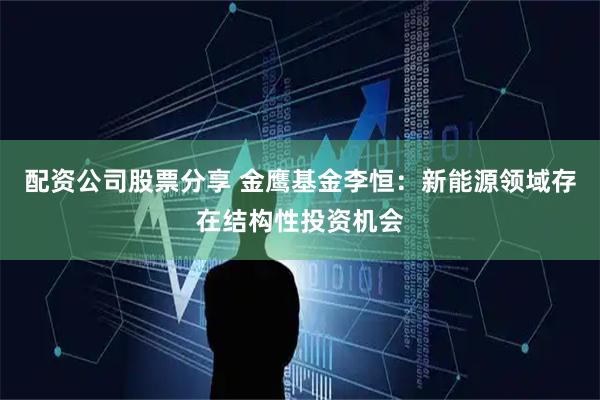 配资公司股票分享 金鹰基金李恒：新能源领域存在结构性投资机会