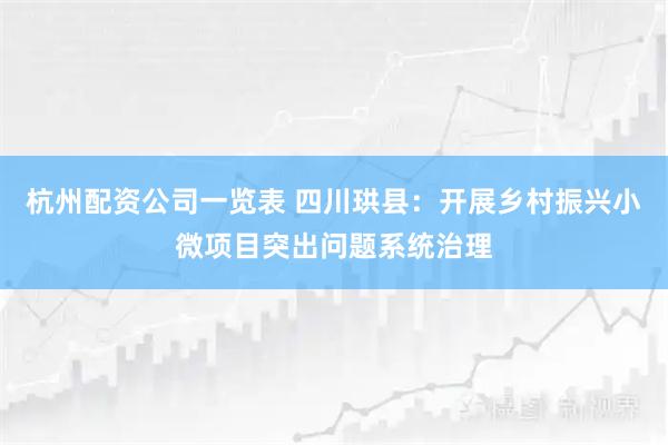 杭州配资公司一览表 四川珙县：开展乡村振兴小微项目突出问题系统治理